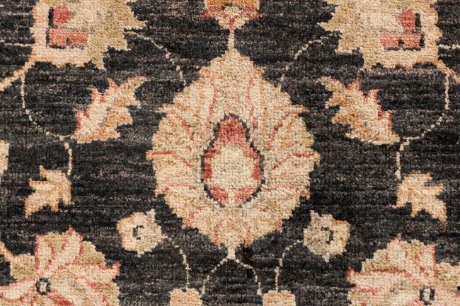 Ziegler Farahan - 6