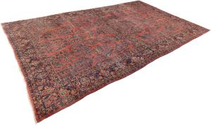 Amrican Sarough 508x310