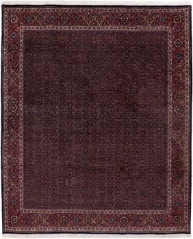Bidjar 306x251