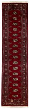Pakistan Buchara 2ply 299x77