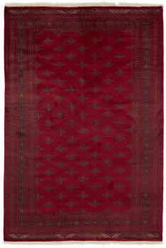 Pakistański Buchara 3ply 299x201
