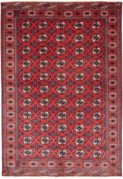Turkaman 218x149