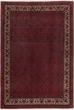 Bidjar 303x204
