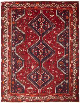 Shiraz 289x219