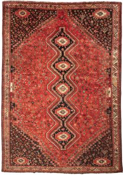 Shiraz 339x239