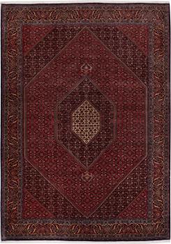Bidjar 283x199