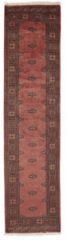 Pakistan Buchara 2ply 315x78