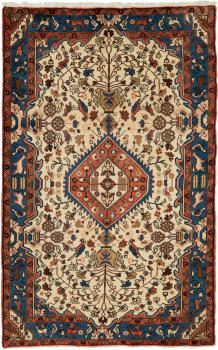Nahavand 226x144