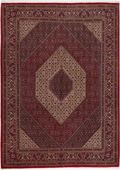 Bidjar 286x206