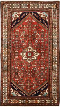 Malayer 219x122