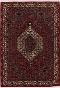 Bidjar 291x204
