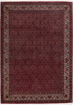 Bidjar 291x205