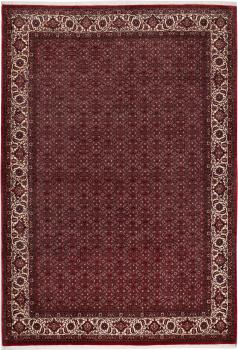 Bidjar 295x204