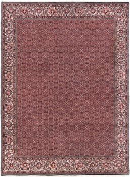 Bidjar 339x251