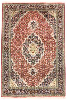 Tabriz 50Raj 146x101