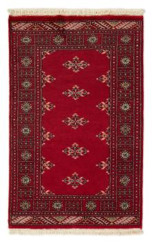 Pakistan Buchara 2ply 124x79