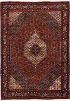 Bidjar 348x249