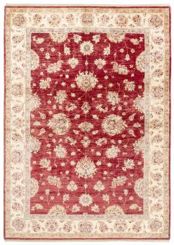 Ziegler Farahan Arijana 244x176