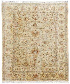 Ziegler Farahan 180x151