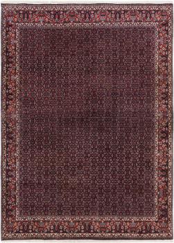 Bidjar 339x251