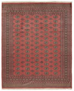 Pakistan Buchara 2ply 306x251
