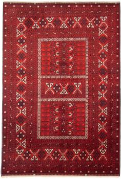 Afghan Mauri 242x161
