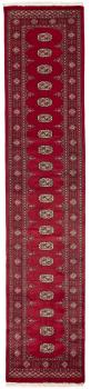 Pakistan Buchara 3ply 362x76