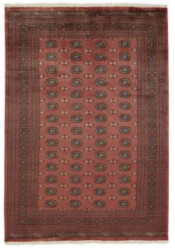 Pakistan Buchara 3ply 286x202