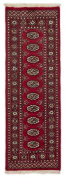 Pakistan Buchara 2ply 179x61