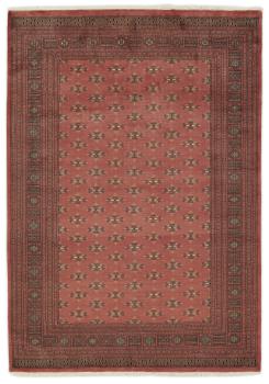 Pakistański Buchara 3ply 291x204