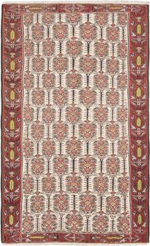 Kilim Senneh 239x147