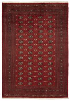 Pakistański Buchara 3ply 286x200