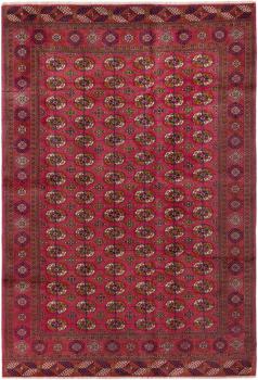 Turkaman 295x203