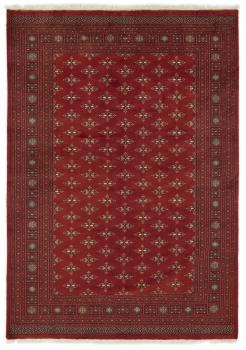 Pakistański Buchara 3ply 288x200