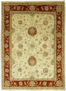 Arijana Ziegler Farahan 247x175