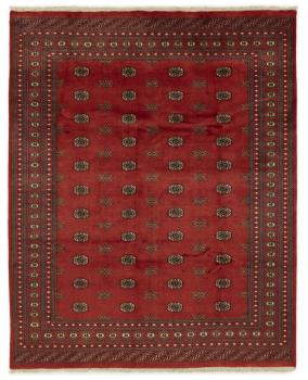 Pakistan Buchara 2ply 304x246