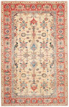 Super Kazak 313x199