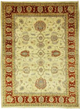 Arijana Ziegler Farahan 236x172