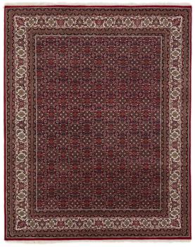 Indo Bidjar 254x201