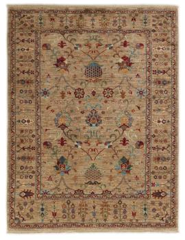 Arijana Shaal 201x155