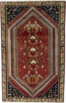 Shiraz 239x152