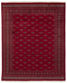 Pakistan Buchara 2ply 301x244