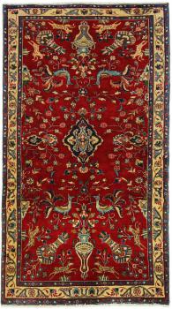 Mashhad 181x101