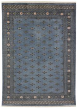 Pakistan Buchara 2ply 343x246