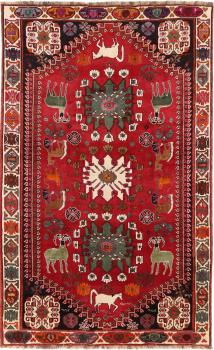 Shiraz 290x180