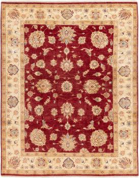 Ziegler Farahan 257x200