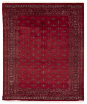 Pakistan Buchara 3ply 298x246