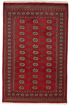 Pakistan Buchara 2ply 259x168