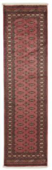 Pakistan Buchara 3ply 302x83