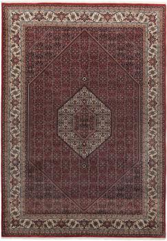 Indo Bidjar 287x207